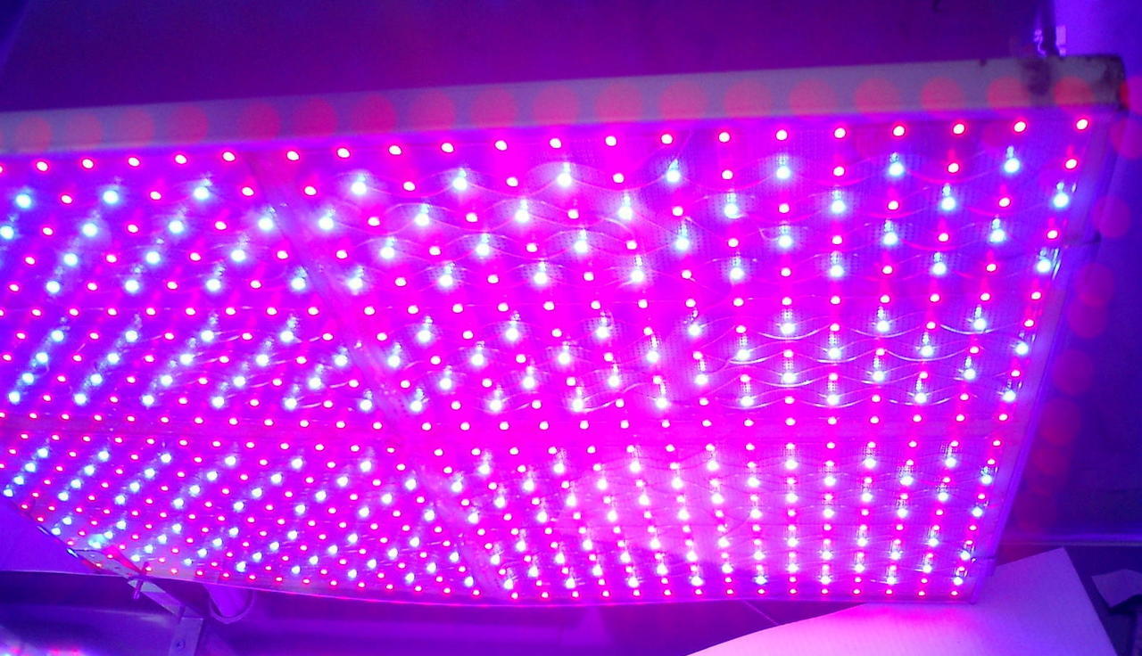 LED画像001.jpg