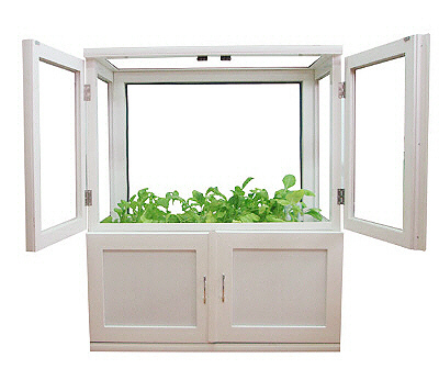 store-w-l2.jpg